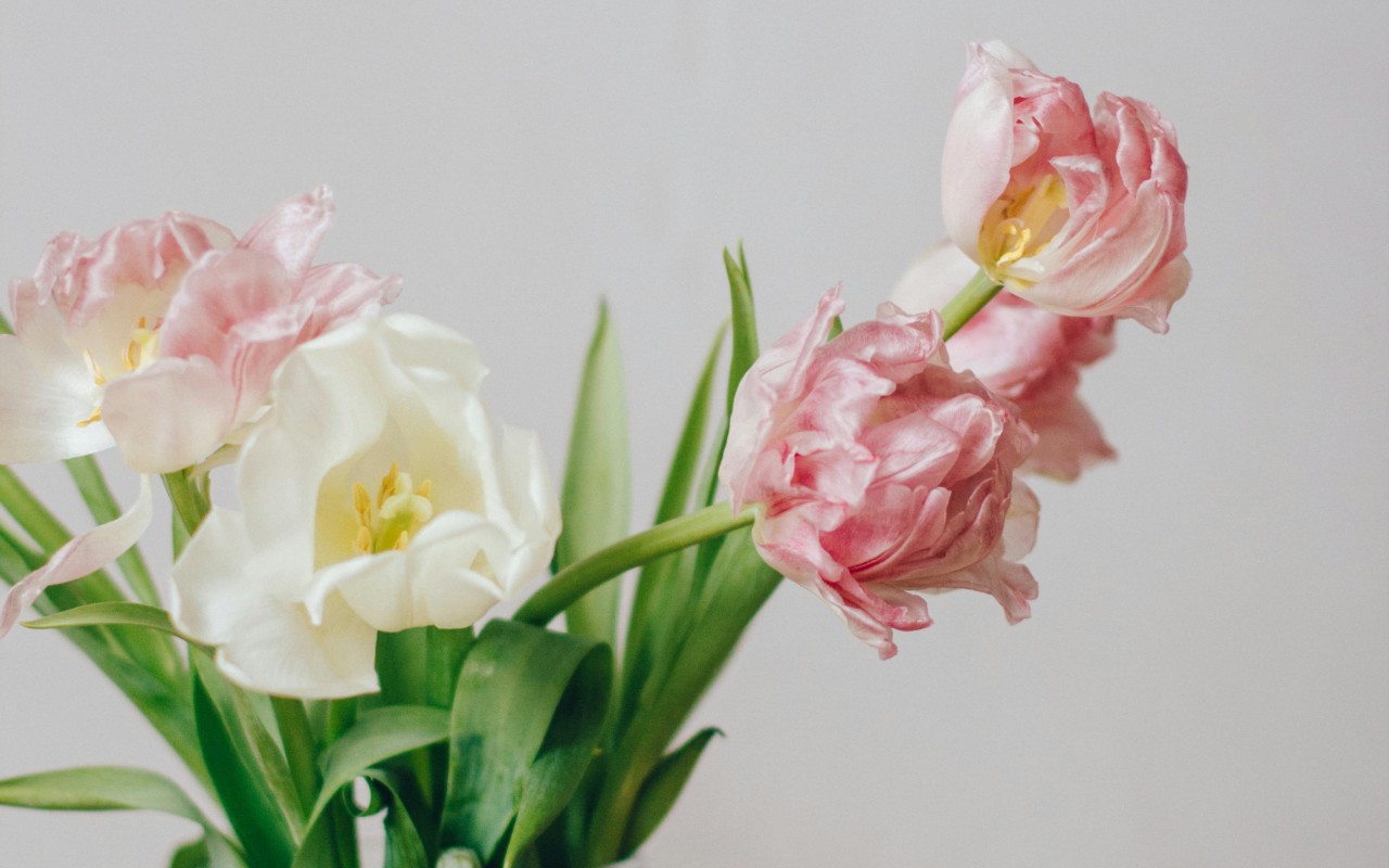 Z okazji dnia kobiet skorzystaj z bezpłatnych badań profilaktycznych